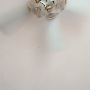 Meet your Posher, Cassidy